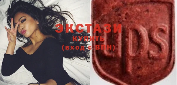 СК Алексин
