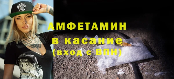 твердый Вяземский