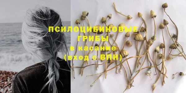 соль курить ск Алзамай
