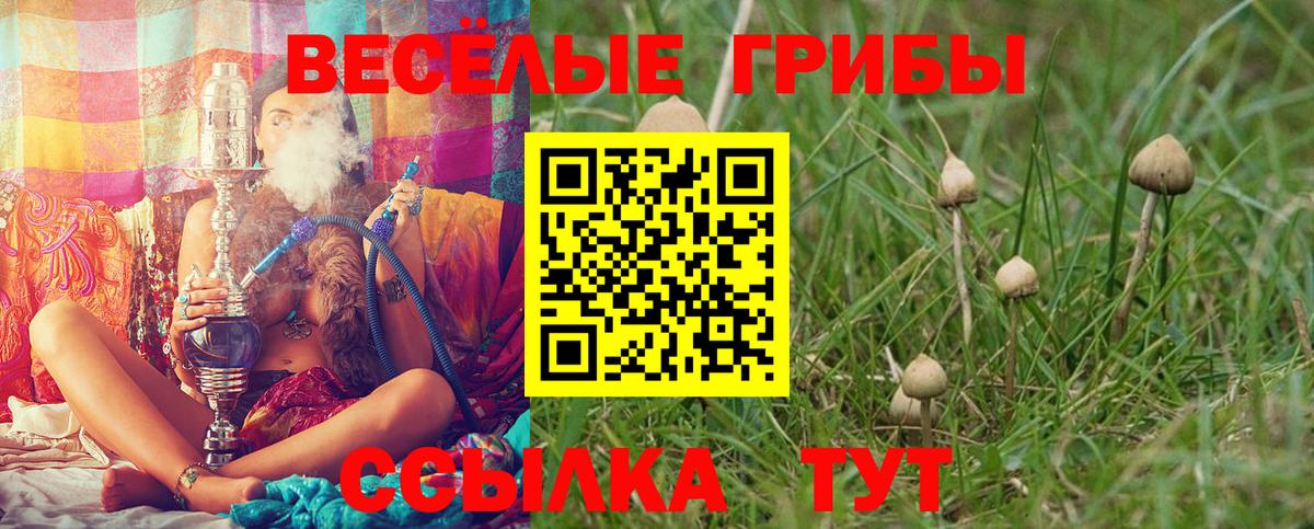 купить   Вход с VPN  Слободской  Галлюциногенные грибы мицелий  Галлюциногенные грибы мицелий 